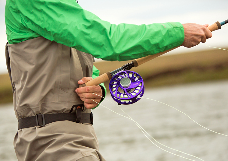 Hatch Reels